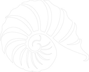 conch outline