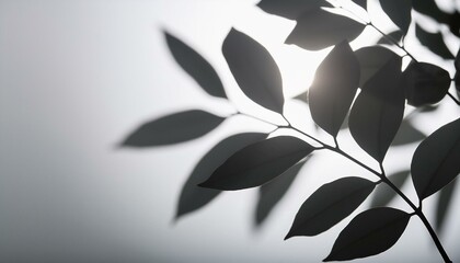 Shaded Whispers: Leafy Outlines on Bright Gray