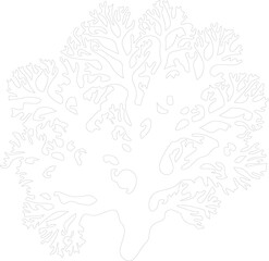 coral outline