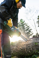 A man in uniform cuts an old tree in the yard with an electric saw.