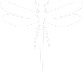 damselfly outline