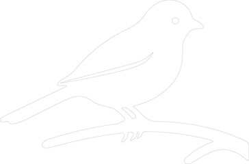 dark-eyedjunco outline