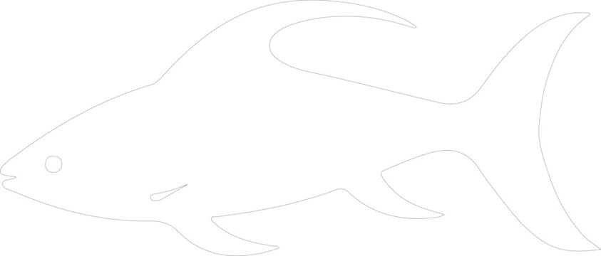 Dinichthys outline
