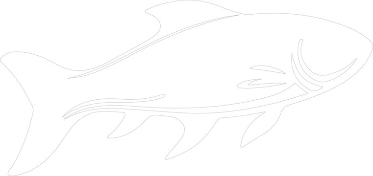 Dinichthys outline