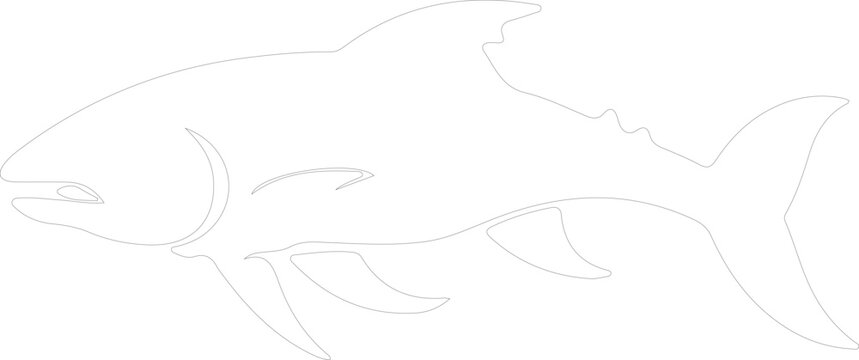 Dinichthys outline
