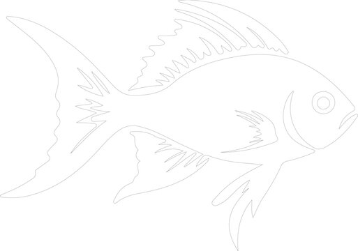 Dinichthys outline