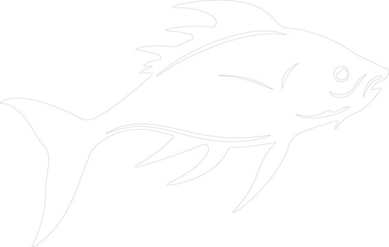 Dinichthys outline
