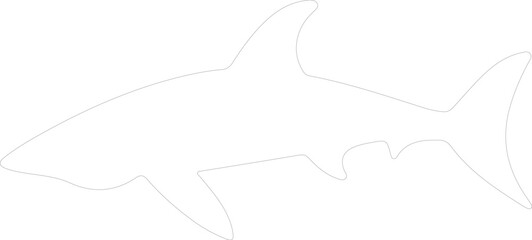 Fototapeta premium dogfish outline