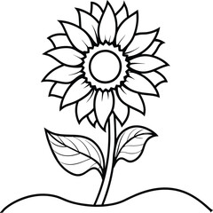 Sunflower coloring pages. Sunflower outline. Flower line art for coloring book