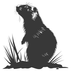 Obraz premium Silhouette Groundhog animal black color only full body