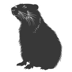 Fototapeta premium Silhouette Groundhog animal black color only full body