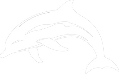 Obraz premium dolphin spotted outline