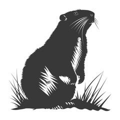 Obraz premium Silhouette Groundhog animal black color only full body