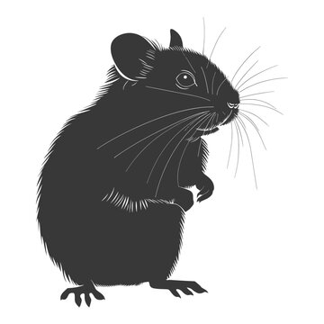 recommend clip art: Silhouette hamster animal black color only full body
