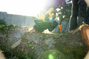 A man in uniform cuts an old tree in the yard with an electric saw.