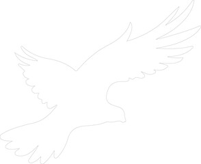 Naklejka premium dove outline