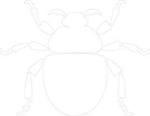 dung beetle outline