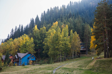 Fototapeta na wymiar Small house in a mountain forest