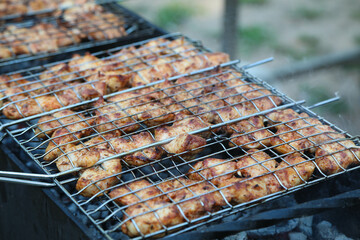 Shish kebab, barbecue on the grill