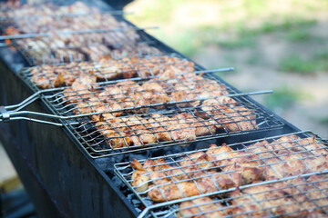 Shish kebab, barbecue on the grill