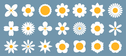 A charming ensemble of daisy illustrations, each showcasing unique petal styles against a calming slate blue background, perfect for spring and nature themes.