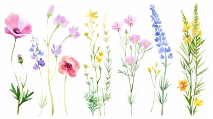 Summer Floral Set with Watercolor Wildflowers Generative AI
