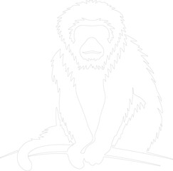 gibbon outline