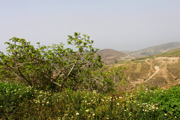 Algérie, région de Msirda dans l'ouest algérien