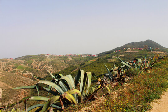 Alg&eacute;rie, r&eacute;gion de Msirda dans l'ouest alg&eacute;rien