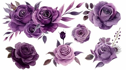 Beautiful Purple Rose Flower Arrangement on White Background Generative AI