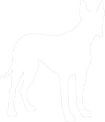 Fototapeta premium great Dane outline
