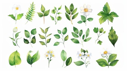 Watercolor Floral Elements for Wedding Decor Generative AI