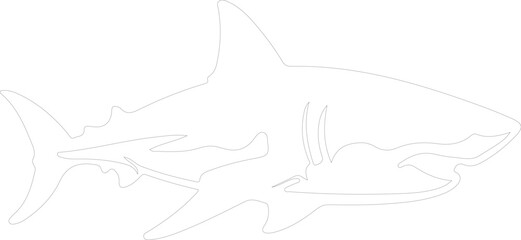 Obraz premium great white shark outline