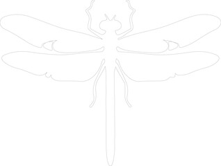 green darner dragonfly outline