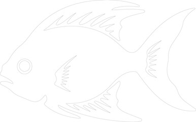 hatchetfish outline