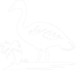 Hawaiian goose outline