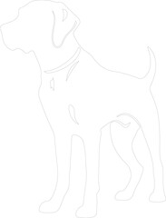 Obraz premium hound outline