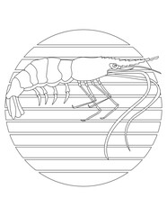 Shrimp Coloring Page. Aquatic Animal Coloring Page for Kids Who Love Underwater Sea Animals, Marine Life, and Sea Life