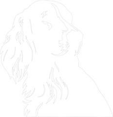 Irish setter outline