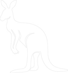 kangaroo outline