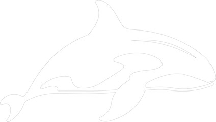Fototapeta premium killer whale outline