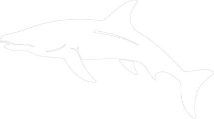 Obraz premium Kronosaurus outline