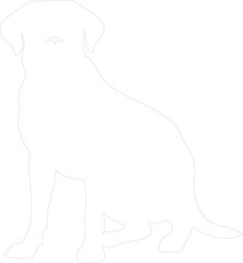 Obraz premium Labrador retriever outline