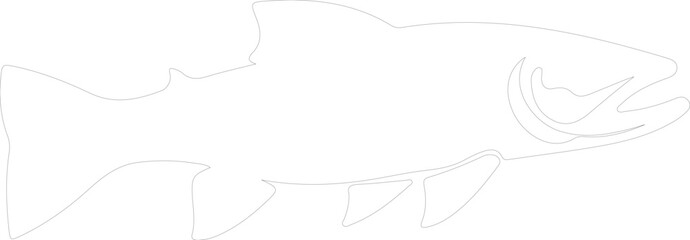 Fototapeta premium lake trout outline