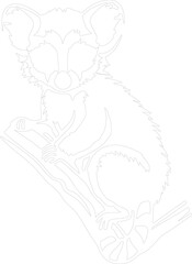 loris outline
