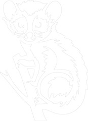 loris outline