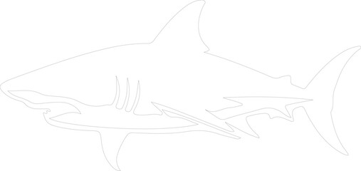 Obraz premium luminous shark outline