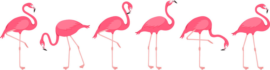 Cartoon flamingo, pink swan, tropical bird icon, summer animal, cute zoo character set isolated on white background. Exotic fauna vector illustration