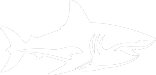 luminous shark outline