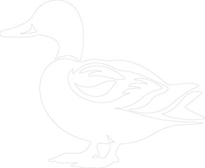 mallard duck outline